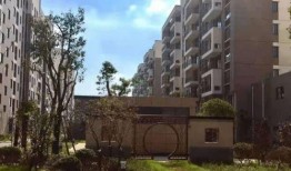 上海二建行情最新爆料,价格波动与市场动态全解析