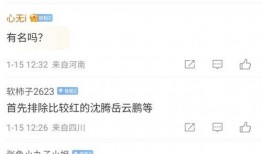 沈腾爆料老婆视频大全最新,老婆视频幕后故事大公开