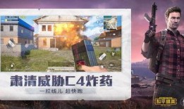 冷和平精英最新爆料,新版本爆料揭秘，冷门武器崛起，战术玩法革新