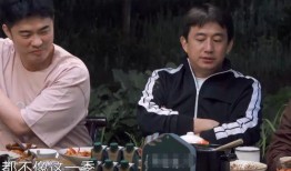 黄磊吃鸡爆料视频大全最新,揭秘明星厨房里的美食传奇