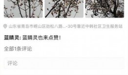 民声爆料视频大全最新,聚焦社会热点，揭示民生真相