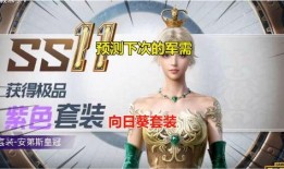 和平精英s32新军需最新爆料,和平精英新军需爆料，神秘装备引期待