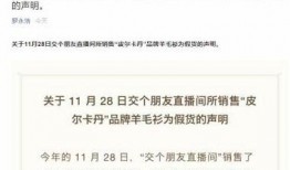 辛巴品牌爆料最新消息,揭秘神秘新品，引领潮流新风尚！
